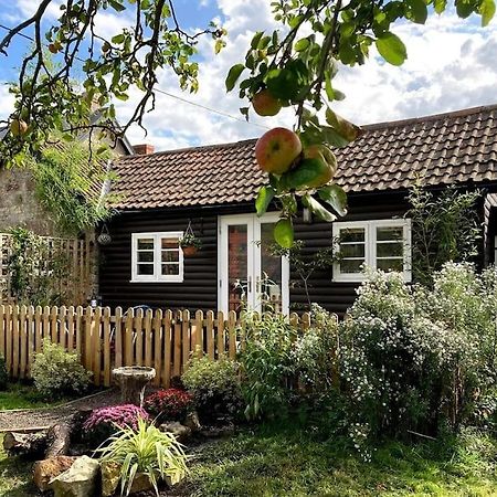 Cosy Studio Retreat In Wells, Somerset Екстер'єр фото
